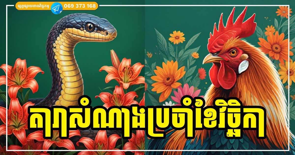 តារាសំណាងប្រចាំខែវិច្ឆិកា! ម្ចាស់ឆ្នាំទាំង ៣ ខែថ្មីមិនថាធ្វើការងារអ្វី ប្រាថ្នាអ្វីសុទ្ធតែសម្រេចបានដូចបំណង