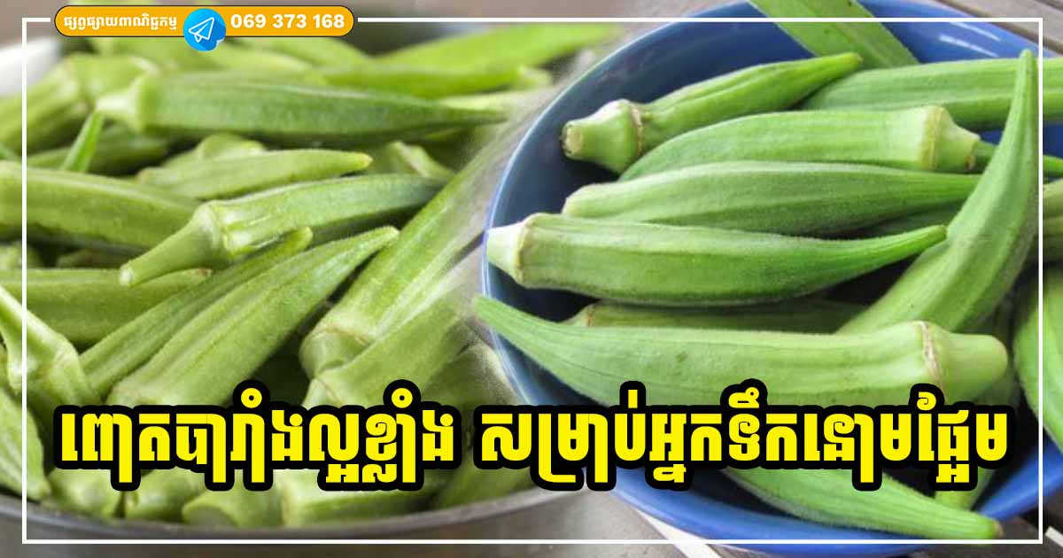 ពោតបាំងរាំង ល្អខ្លាំងសម្រាប់អ្នកជំងឺទឹកនោមផ្អែម