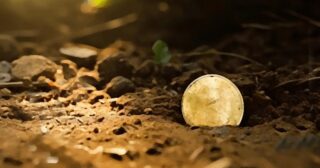 SadCoin Chronicles: Stories of Coins That Lost Their Shine
