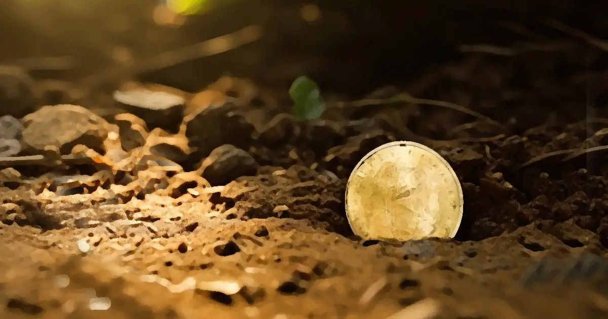 Knongsrok Thumbnail