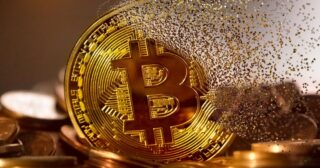 The Meltdown: Coins That Made Fortunes and Then Vanished
